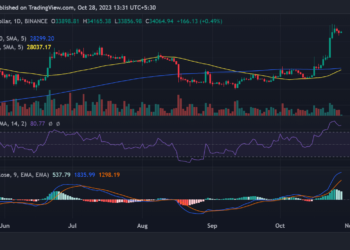 Bitcoin’s bullish surge: Analyzing network fees, price trends and more