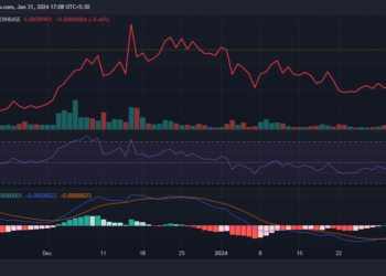 SHIB looks to a better February after losing 14.50% in January