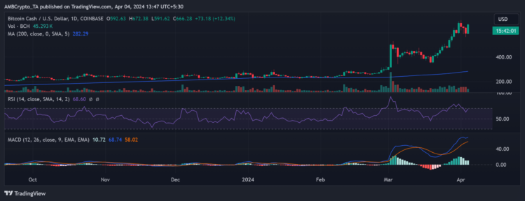 Bitcoin Cash’s halving – Identifying whether it will impact Bitcoin’s future