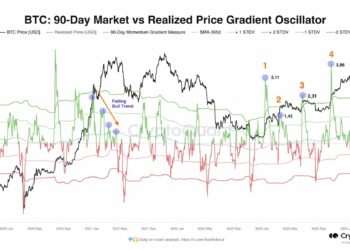 Bitcoin whales: Unusual activity raises these questions