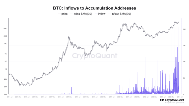 Bitcoin: Whales make risky $1.3 billion bet as BTC tumbles