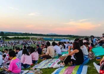 Japanese village leverages NFTs to tackle woes tied to aging population