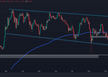 Bitcoin Whale buys $31 mln of BTC, Buy signal or what?