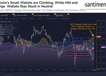 BTC small retail traders dominate the market hitting 7 months high