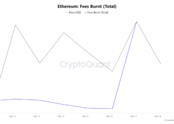 Crypto chaos: Mysterious user burns $1.65M in ETH, blasts mind control in disturbing message
