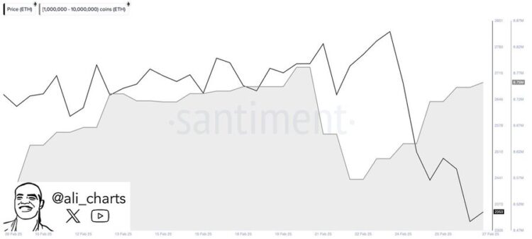 All about Ethereum’s yearly low