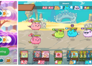 Sky Mavis alleges Seed Go infringes on Axie Infinity IP